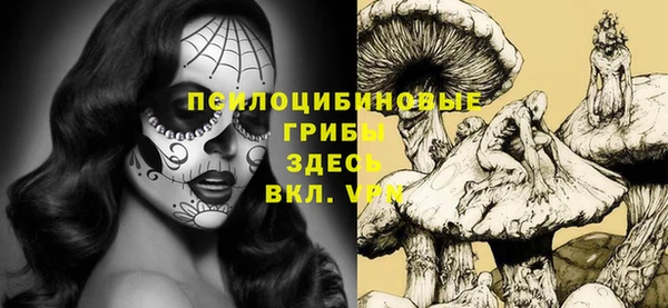 трава Беломорск